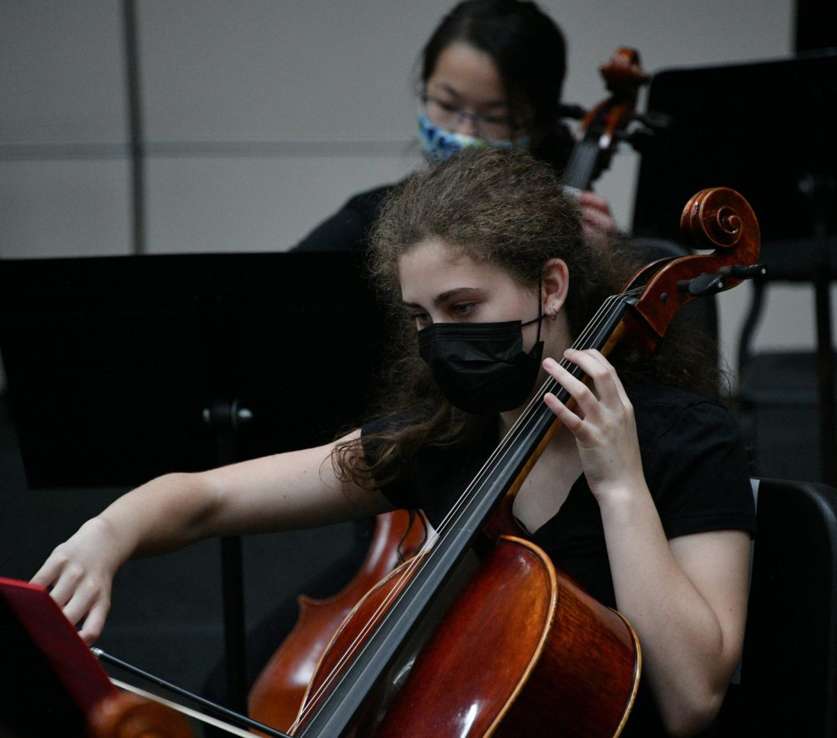 Orchestra: Behind the Scenes